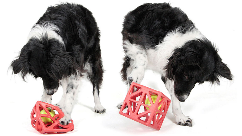 Illustration for article titled Will This Caged Ball Toy Stimulate a Dog's Brain or Just Drive It Insane?